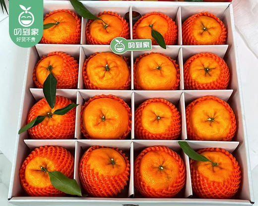 老林家高山树熟永春芦柑礼盒（大果）/1箱（16个，共3.25-3.5kg） 商品图4