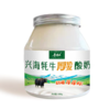 兴海牦牛酸奶（580g/罐） 商品缩略图0