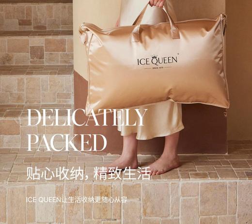 【意大利真丝面料】ICE QUEEN 女王真丝纯鹅绒枕芯  48*74cm 商品图4