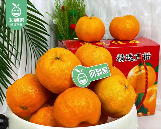 老林家高山树熟永春芦柑（中果）/1箱（13-15个，共2.25kg±100g） 商品图3