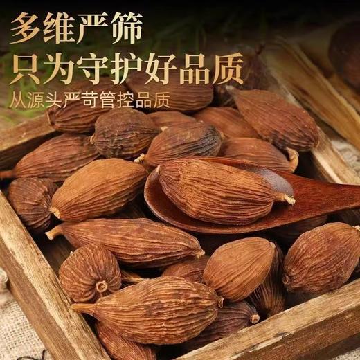 【SF】草果 正宗云南草果卤肉香料炖肉调料 商品图2