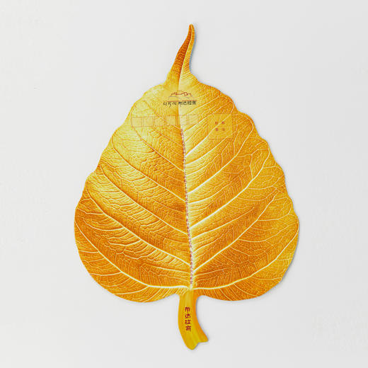 动画明信片 商品图2