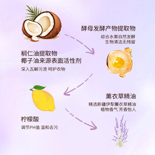 【静思书轩】净舍迎福新年焕新礼｜85元除秽礼包含净斯酵素洗衣液、山茶籽洁净剂、沐足包净屋纳祥迎新春 商品图6