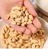 【新疆湖盐花生】三重工艺，脱皮脆炸，只为还原花生本该有的干净酥脆。不加多余调味，仅以微量新疆湖盐提味——不油手、不齁喉，只有一颗接一颗的干脆满足😋。 商品缩略图1