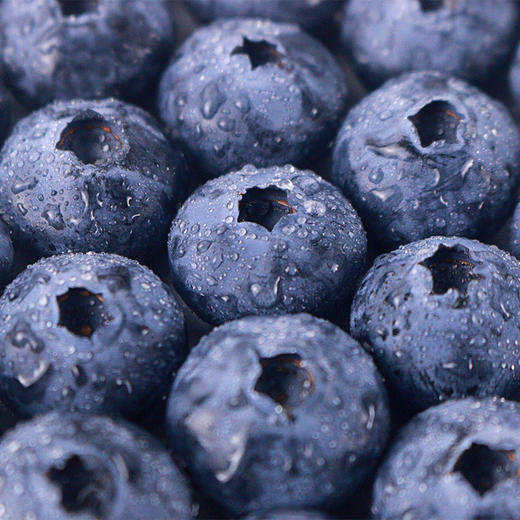 【秒杀活动】14mm蓝莓1箱12盒 *125g   云南蓝莓 L25 新鲜护眼蓝莓 商品图3