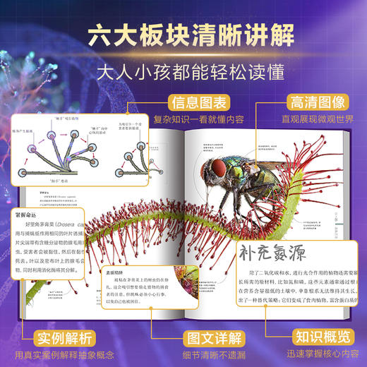 DK微观生命的奥秘 商品图3