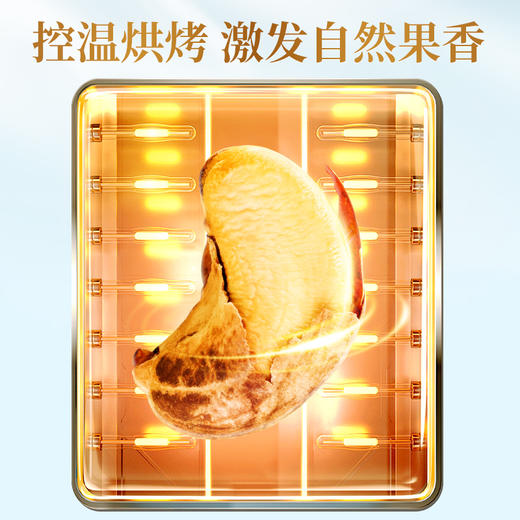 沃隆紫衣腰果420g 商品图3