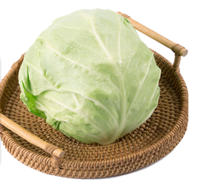 【YC】新鲜有机绿甘蓝圆白菜新鲜蔬菜