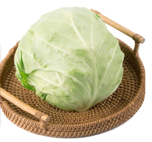 【YC】新鲜有机绿甘蓝圆白菜新鲜蔬菜 商品图0
