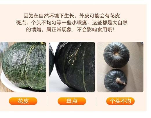 【QT】香甜软糯贝贝南瓜 商品图1