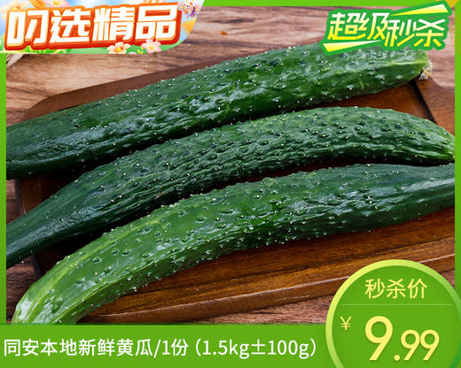 同安本地新鲜黄瓜/1份（1.5kg±100g） 商品图0