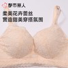 都市丽人女士内衣蕾丝文胸树脂胶圈三排四扣LBC8C1 商品缩略图4