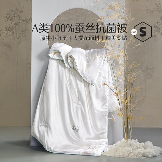 水星家纺蚕丝春秋二合一被A类丝滑透气细腻亲肤床上用品严选 商品图0
