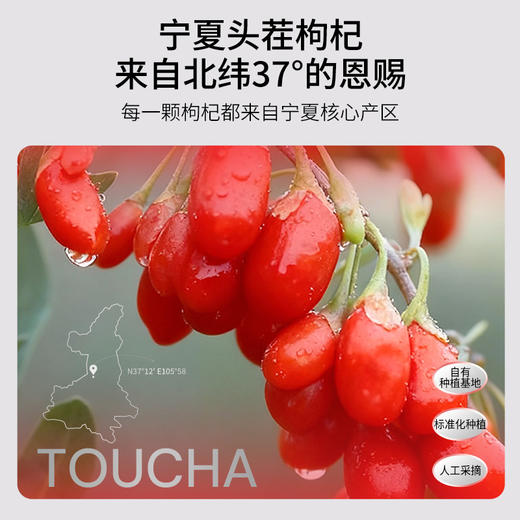 杞里香默小吉1.8L（60袋）量贩装枸杞原浆宁夏产枸杞红枸杞原液果汁饮料 商品图3