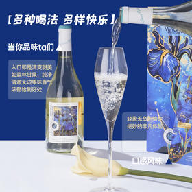 梵高星月夜法国进口精选干白葡萄酒4支装礼盒