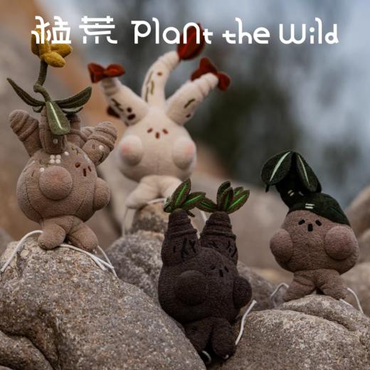 logaloga/盆栽摆件 商品图1