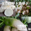 青青自种青萝卜和白萝卜，4.5斤包邮 商品缩略图1