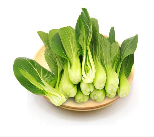 【QT】新鲜蔬菜小油菜 商品图0