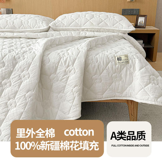 【品牌直发】加倍生活 A类抗菌里外全棉床护垫 0.9-2.0m纯棉新疆棉花填充床褥子 单人双人学生垫 商品图8
