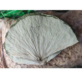 【SF】干荷叶   当季新叶 荷叶饭糯米鸡荷叶鸡