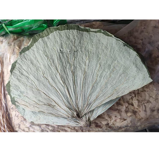【SF】干荷叶   当季新叶 荷叶饭糯米鸡荷叶鸡 商品图0