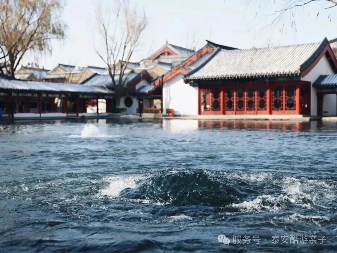 【2026酷游亲子元旦明水古城▪梦回江南】梦回江南，开始穿越之旅