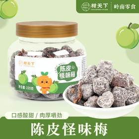 柑天下丨陈皮怪味梅广东蜜饯凉果果脯休闲零食
