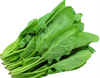 【YC】新鲜现挖菠菜河南霜打露天红根菠菜青菜涮火锅真便宜 商品缩略图0