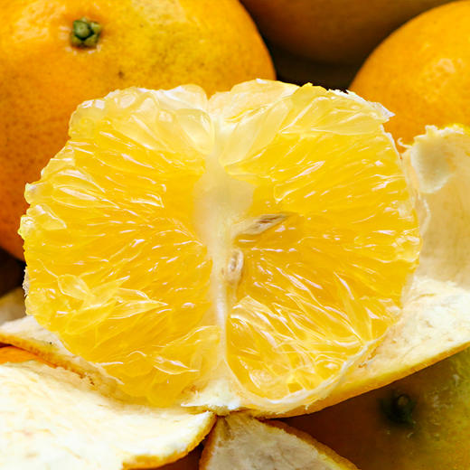 【京东包邮】广东德庆贡柑 脆嫩少渣 4.8斤中果/大果/32枚大果彩箱装 商品图4