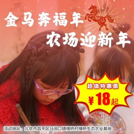 【半日营·1月1-18日】来村里跨个年，年味主题活动，舞龙，灌香肠，打年糕，炒年货，赶小猪，体验钻木取火！累计3小时公益时长 商品图0