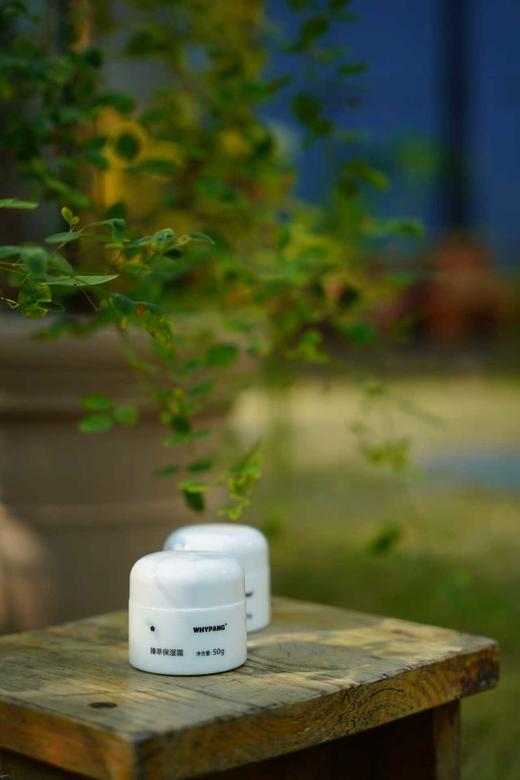 臻萃保湿霜 50g 商品图4