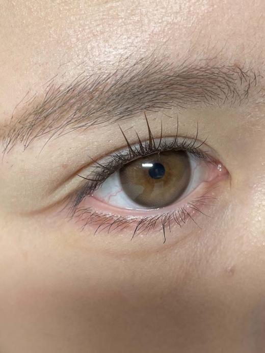 hancon 日抛（6片装）鸡蛋布丁 直径14.5mm着色13.9mm 商品图1