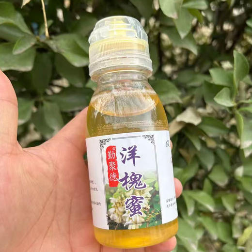 延安原产地槐花蜜｜自然清香，清润细腻，蜂蜜中的“雅士” 商品图1