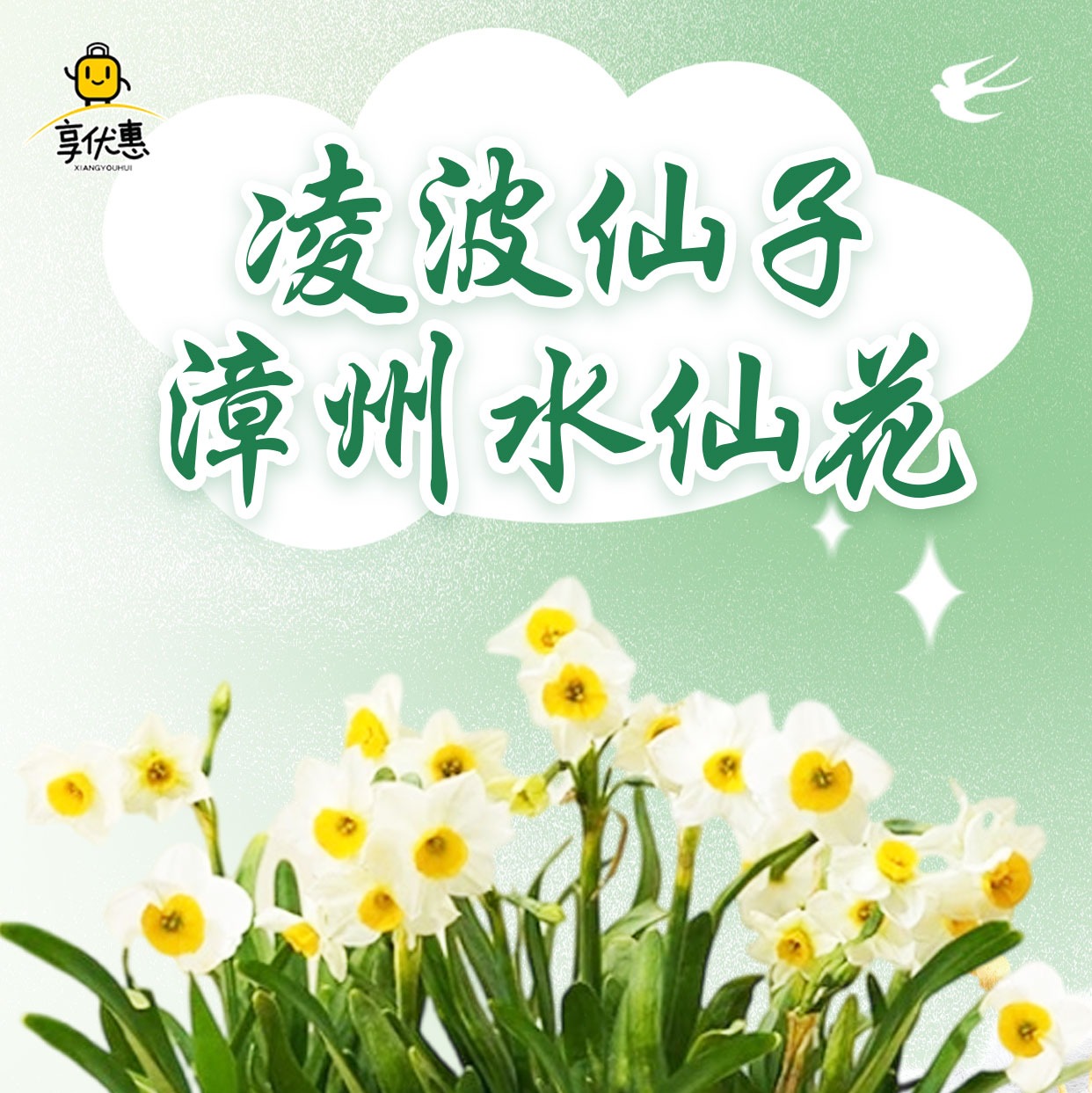 新春特惠 |58.8元起秒杀漳州三宝之一漳州水仙花！吉祥如意红色陶瓷盆水仙花盆栽带礼盒、山水青花白色陶瓷盆水仙花盆栽带礼盒、一对装白高陶瓷盆雕刻水仙花带礼盒（可选时尚款礼盒或年味款礼盒）多款可选！