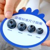 云南高原花香蓝莓 【抚仙湖核心产区，顺丰空运】 商品缩略图5