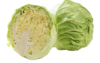 【QT】新鲜 卷心菜 洋白菜 圆白菜 大头菜 商品缩略图0