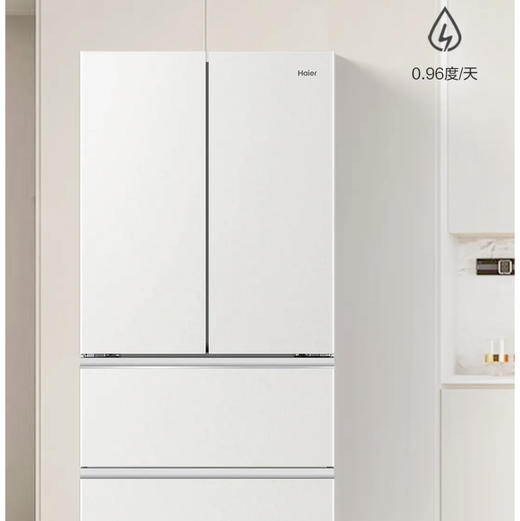 海尔（Haier）冰箱 BCD-541WGHFDC9GPU1 商品图7