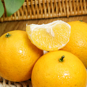 【京东包邮】广东德庆贡柑 脆嫩少渣 4.8斤中果/大果/32枚大果彩箱装