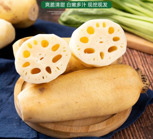 【QT】新鲜莲藕脆嫩多汁 商品图1