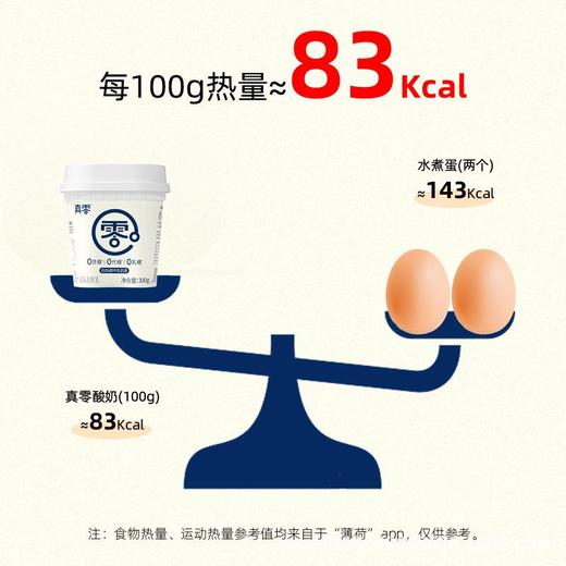 真零酸奶0乳糖0代糖纯酸奶低温酸奶300g桶装发酵原味酸奶代餐奶 商品图2