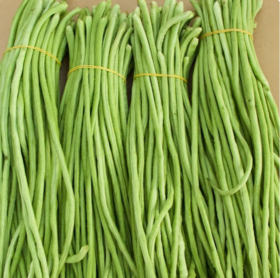 【QT】长豆角新鲜豇豆脆嫩