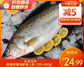 本港活杀围海养殖海鲈鱼/1条（350-400g）