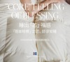 【意大利真丝面料】ICE QUEEN 女王真丝纯鹅绒枕芯  48*74cm 商品缩略图1