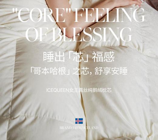 【意大利真丝面料】ICE QUEEN 女王真丝纯鹅绒枕芯  48*74cm 商品图1
