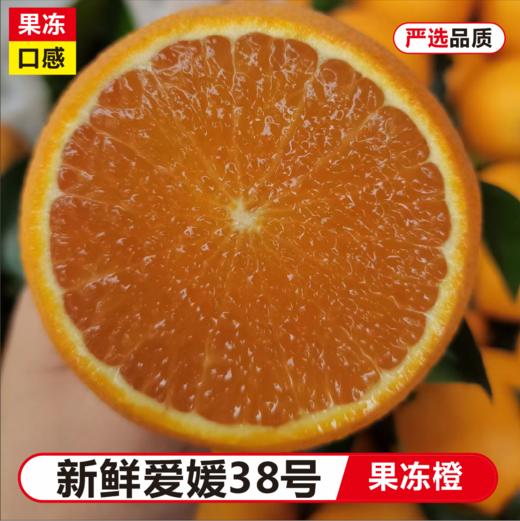 四川爱媛果冻橙5斤装【分仓直发，72小时发货，周末节假日不发货】 商品图1