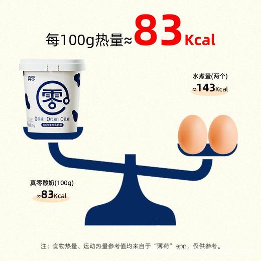 真零酸奶0乳糖0代糖纯酸奶低温酸奶1kg桶装发酵原味酸奶代餐奶 商品图2
