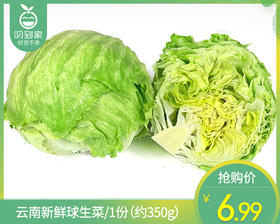 【叼鲜蔬】云南新鲜球生菜/1份（约350g）