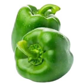 【SLSY】现摘新鲜大青椒圆椒 农家自种皮薄肉厚 当季时令蔬菜