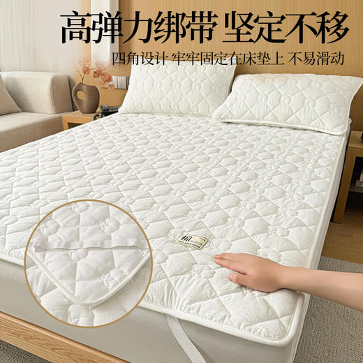 【品牌直发】加倍生活 A类抗菌里外全棉床护垫 0.9-2.0m纯棉新疆棉花填充床褥子 单人双人学生垫 商品图5