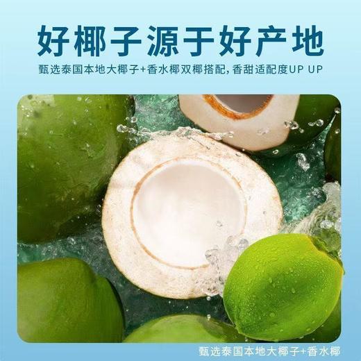 豪园椰子水245ml*10袋装夏日清爽解腻椰子水椰青水饮料孕妇饮品 商品图4